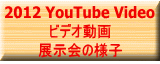 2012 YouTube Video rfI W̗lq 